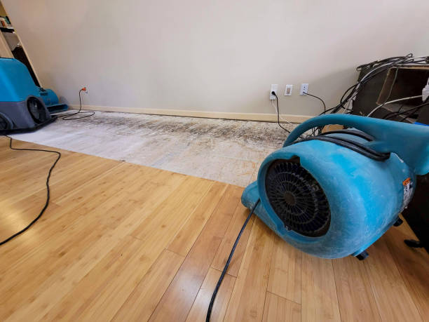 Professional Water Damage Repair technician working in Soap Lake, WA